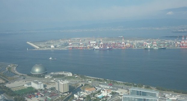 shutterstock_2380781331