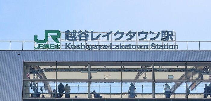 shutterstock_2312765199