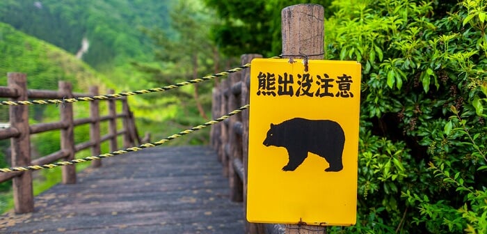 shutterstock_1419223949