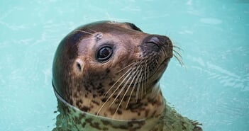 shutterstock_1353640208