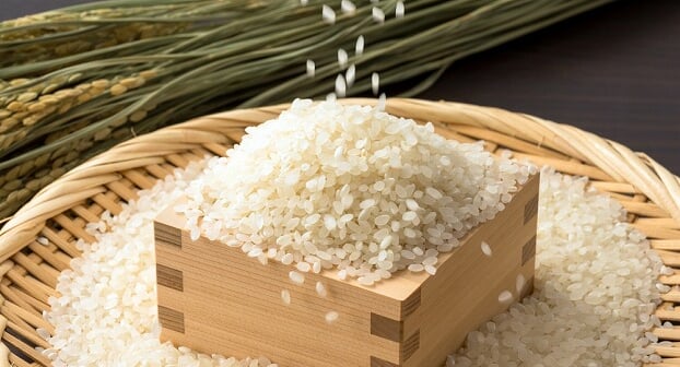 shutterstock_2353639171