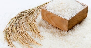 shutterstock_159382712