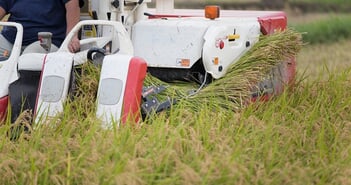 shutterstock_314324096