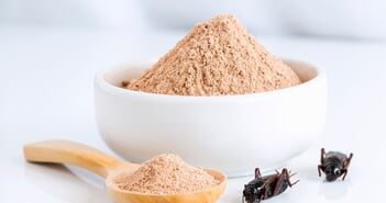 shutterstock_1263188812