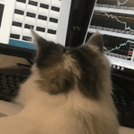 iwachan-profile-150x150