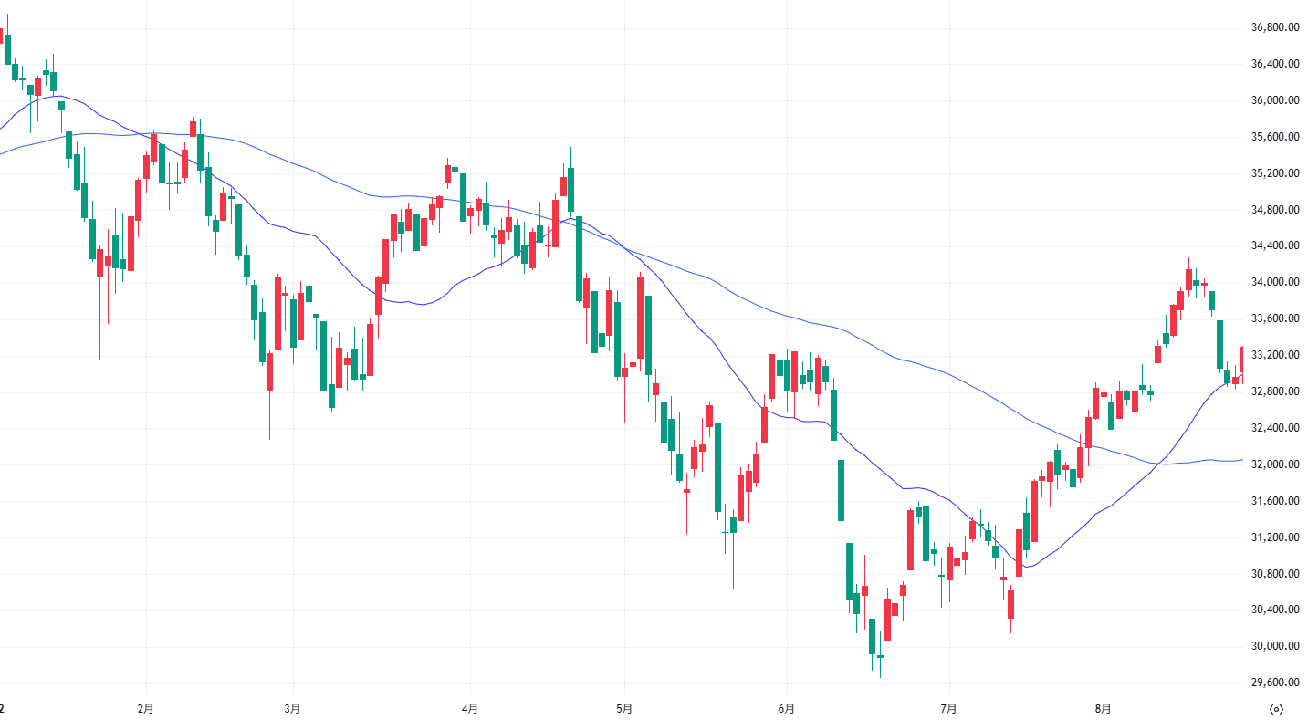 NYダウ平均 日足 2022年1月13日～8月24日 出典：TradingView