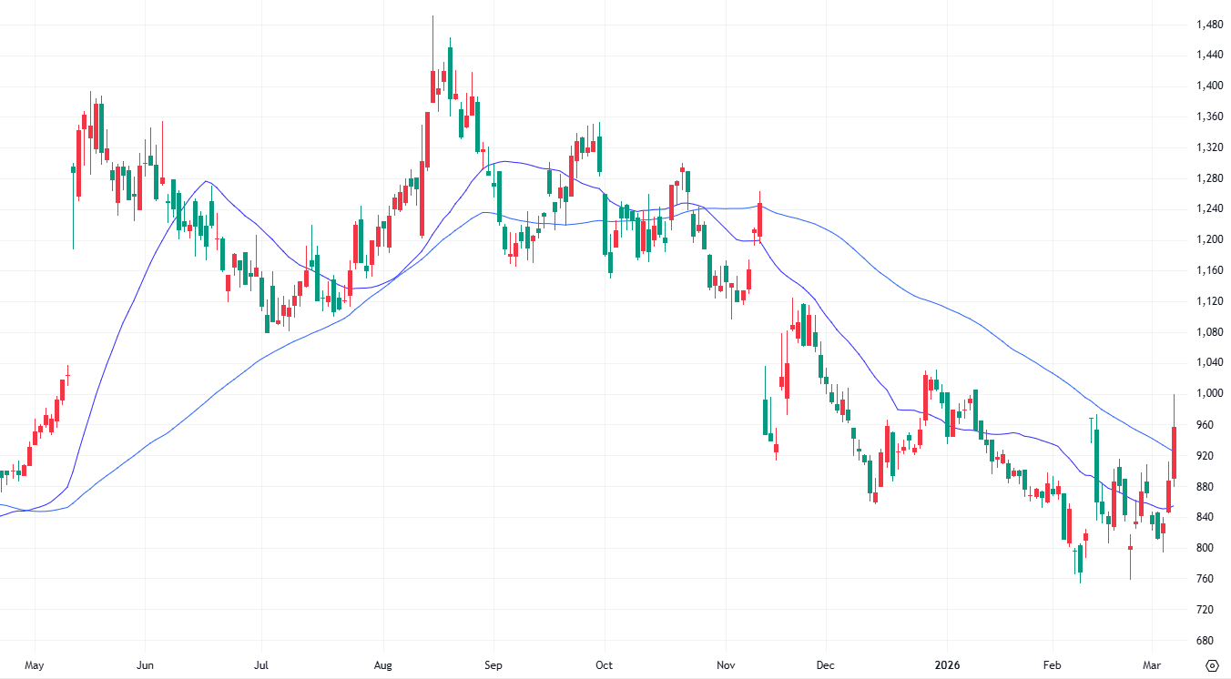 エクサウィザーズ（4419） 日足 2025年4月23日～2026年3月6日  出典：TradingView