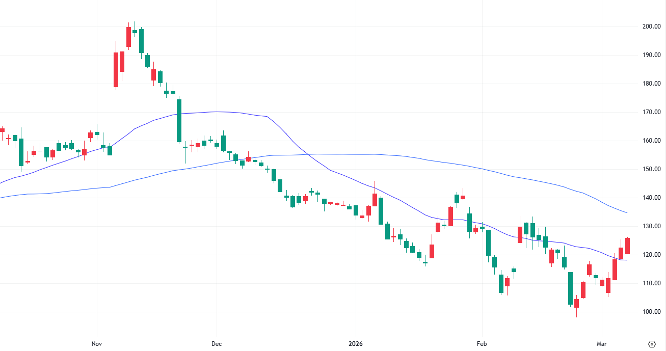 データドッグ 日足 2025年10月13日～2026年3月6日
