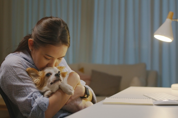 4月開始「独身税」は本当に増税ではないのか？子ども・子育て支援金の仕組みと不公平感の正体＝原彰宏