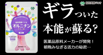 $BLk$^$G$:$C$H%d%k5$$NHkL)$H$O!)Ls#1#5F|J,$r#5#0#01_$G$*;n$7(B