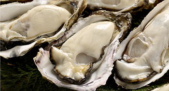 他にない返礼品多数！返礼品がお買い物感覚ですぐ届く！