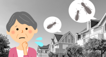 【最短即日対応】シロアリ駆除のスペシャリストが根本から徹底駆除