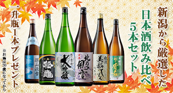 《今なら一升瓶1本プレゼント》新潟地酒5本セットが47%オフ！