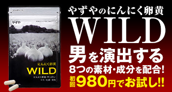 朝から夕方まで頑張れない方へ★やずやの『にんにく卵黄WILD』
