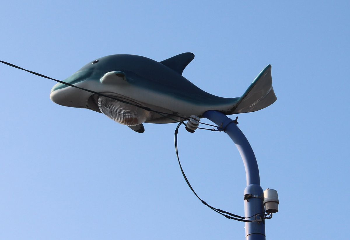 イルカ仕様の街灯カバー