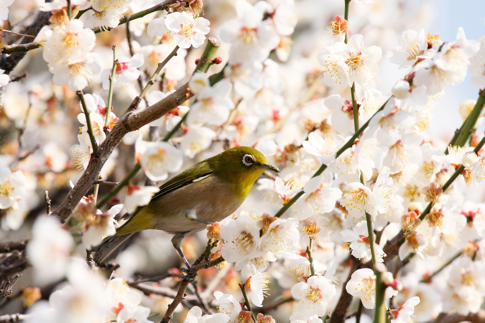 © kohashi - Fotolia.com
