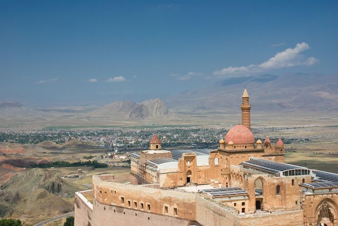 Asaf Eliason /Shutterstock.com