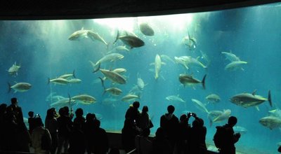 Tokyo_See_Life_Park_01