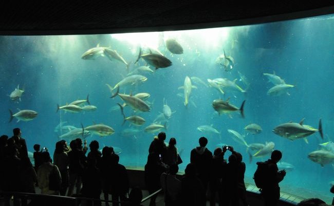 Tokyo_See_Life_Park_01