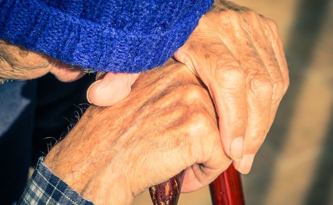 oneinchpunch/shutterstock