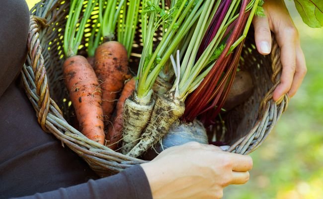 Ursa Studio/Shutterstock