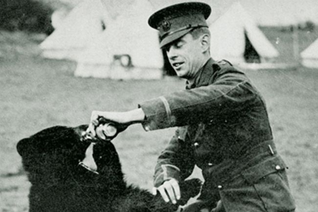 800px-Disneyland-WinniePooh-sign