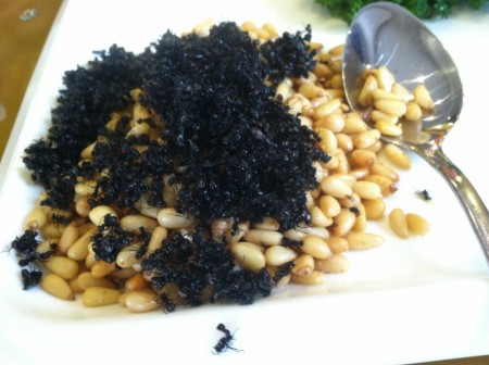 o0800059813353262262