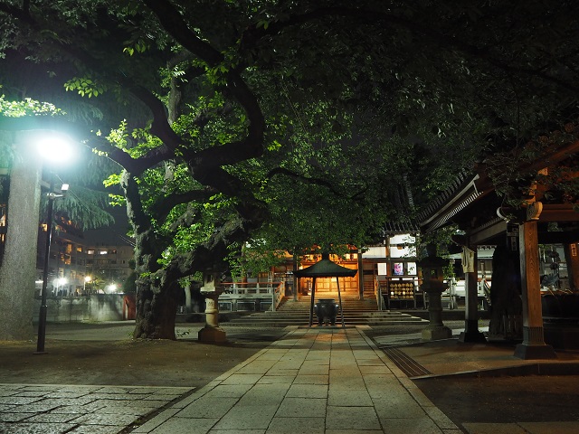 しっとりとした風情のある境内。