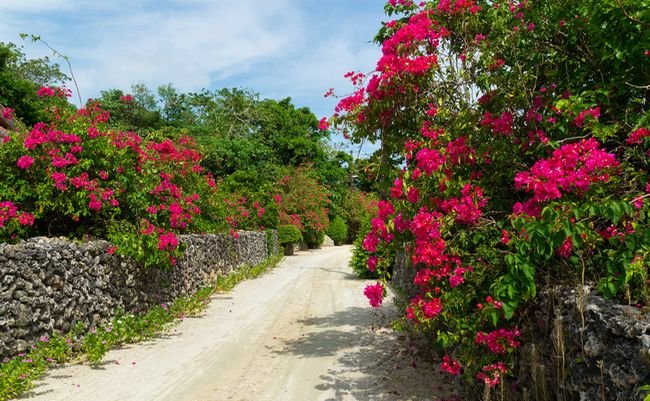 shutterstock_215563294