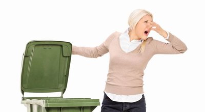 shutterstock_234934420