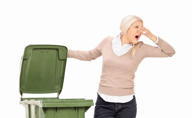 shutterstock_234934420