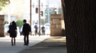 55dbbb266bd277ebc8a4287a8cb716b7_s