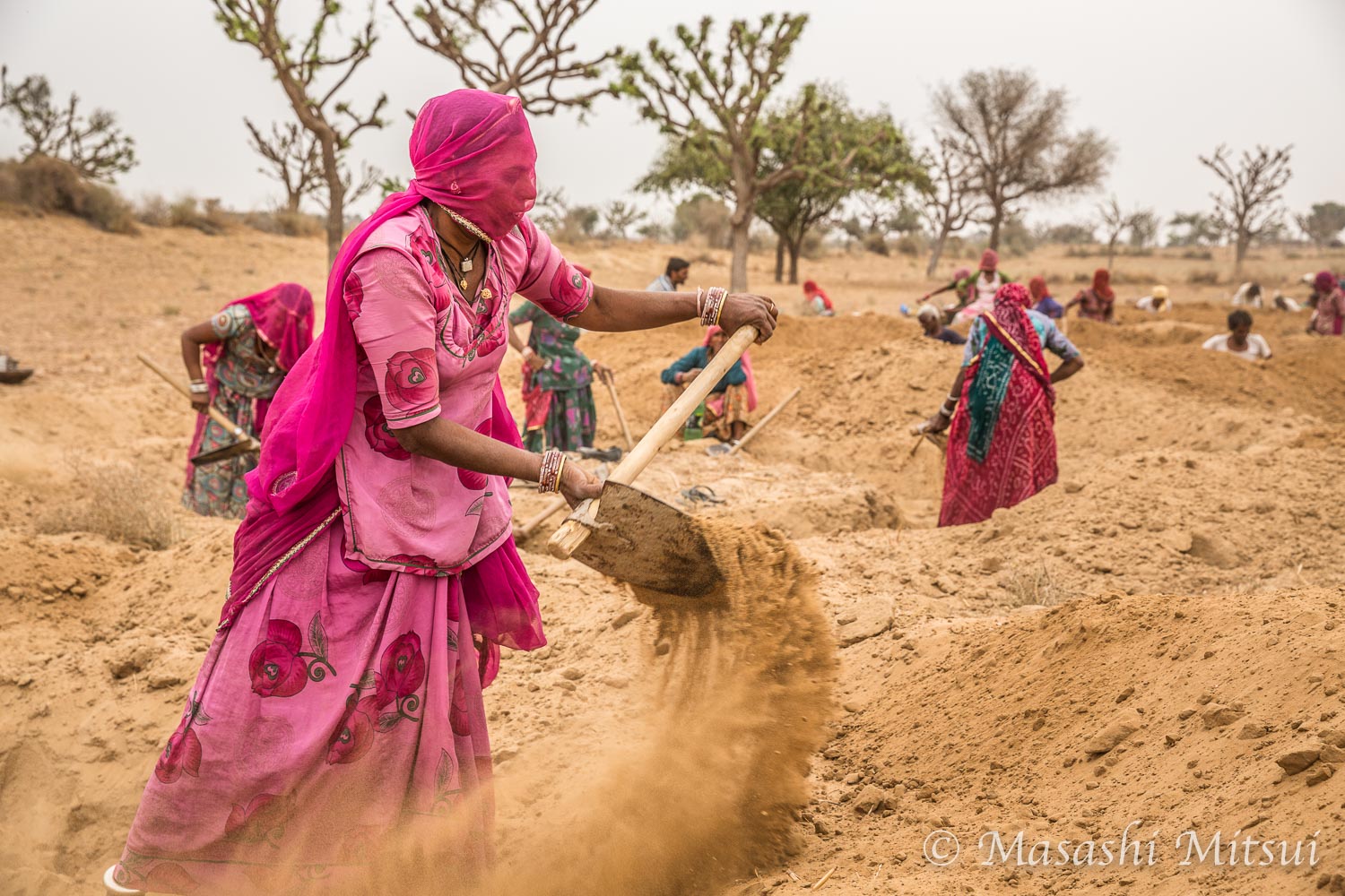 外から顔の見えないインド女性たちが砂漠に木を植え続ける光景 まぐまぐニュース