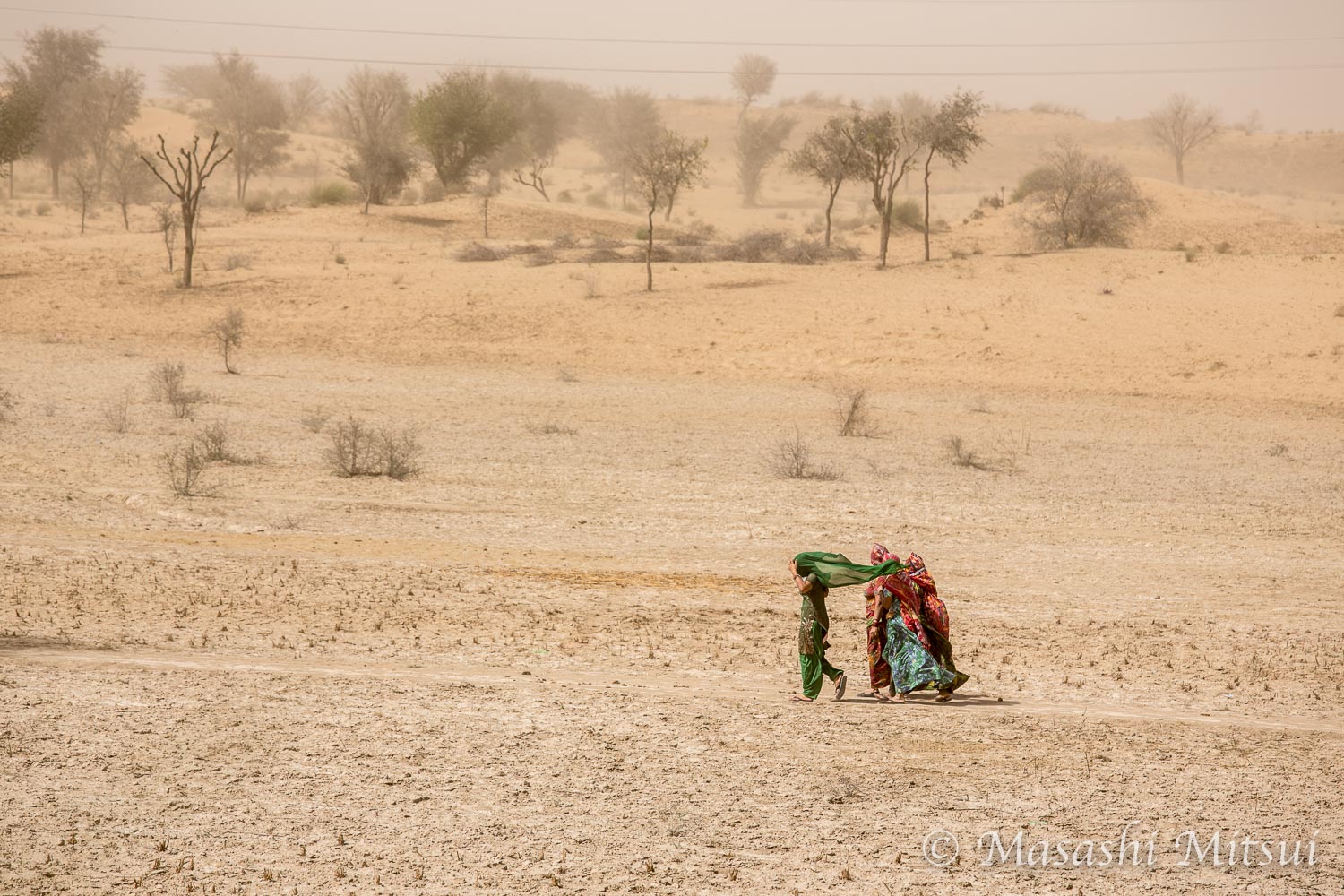 外から顔の見えないインド女性たちが砂漠に木を植え続ける光景 まぐまぐニュース