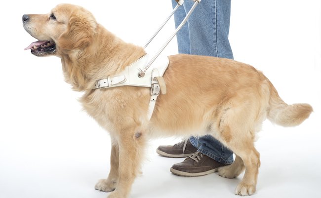 shutterstock_146218349