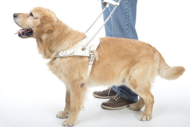 shutterstock_146218349