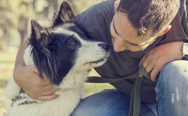 たとえ臭くても 犬は飼い主さんの匂いが好き という研究結果 まぐまぐニュース