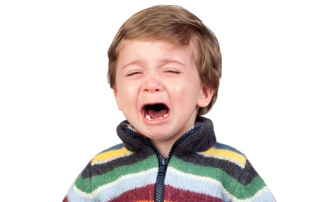 shutterstock_98507504