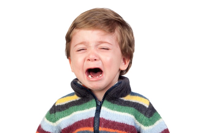 shutterstock_98507504