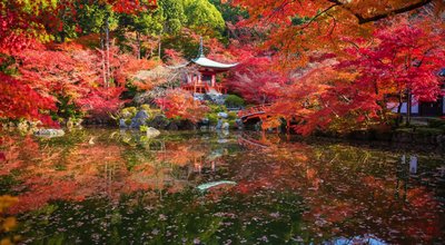 650shutterstock_301493606 copy