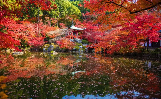 650shutterstock_301493606 copy