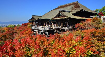 shutterstock_146863622