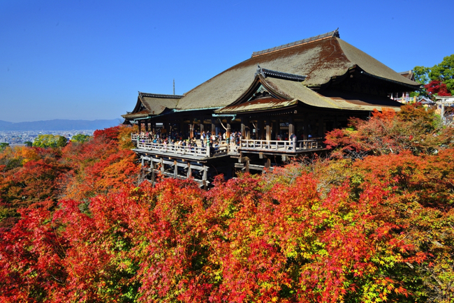 shutterstock_146863622