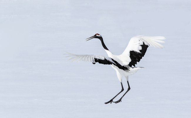 shutterstock_154906565 copy