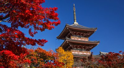 shutterstock_167907833 copy