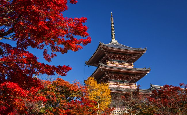 shutterstock_167907833 copy