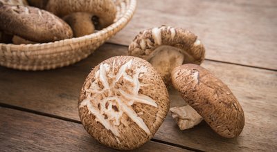 shutterstock_252288955