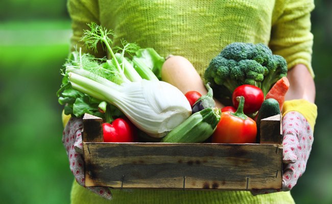 話題のふるさと納税って実は「寄付」?この際だから全部知りたい! 話題のふるさと納税って実は「寄付」?この際だから全部知りたい!