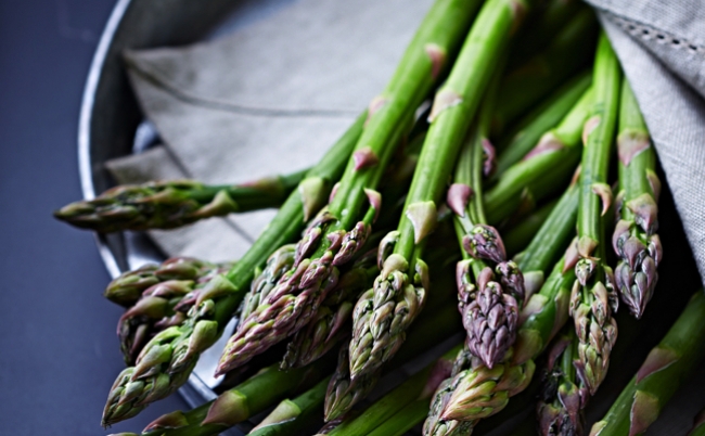 shutterstock_191735297 copy