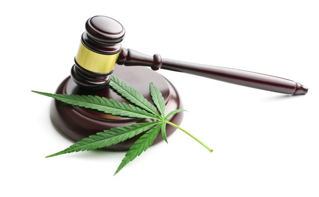 shutterstock_309992177 copy